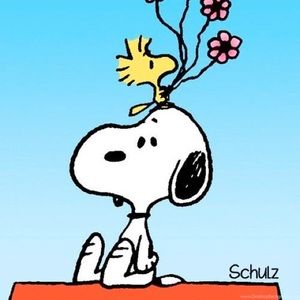 Meet your Posher, Ava